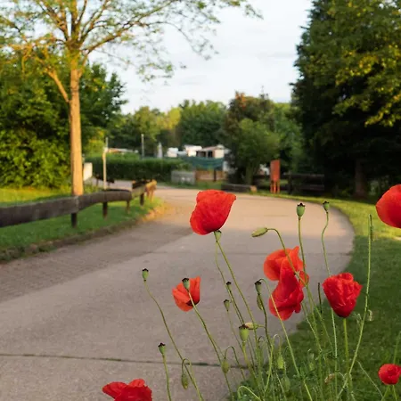 Feriehus Sleep Space 2 - Tiny Spot Suedpfalz Rülzheim