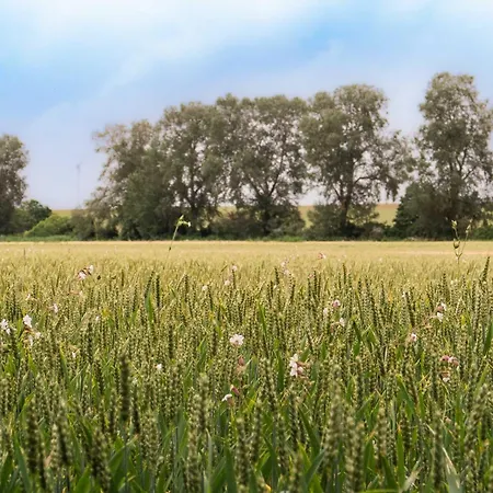Feriehus Sleep Space 2 - Tiny Spot Suedpfalz Rülzheim