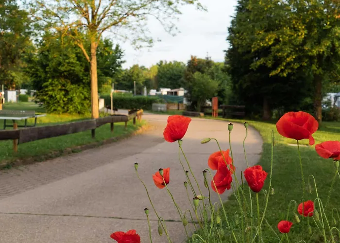 בית נופש Sleep Space 2 - Tiny Spot Suedpfalz Rülzheim