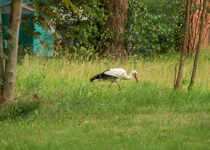 Sleep Space 2 - Tiny Spot Suedpfalz Rülzheim