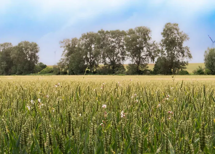 בית נופש Sleep Space 2 - Tiny Spot Suedpfalz Rülzheim