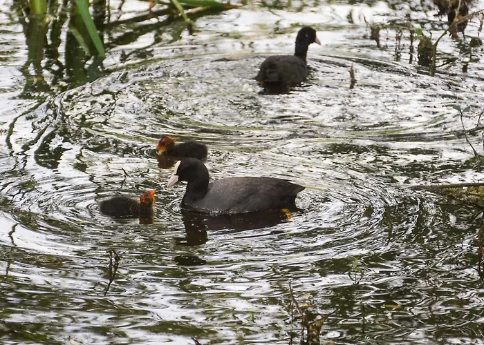 Sleep Space 2 - Tiny Spot Suedpfalz Holiday home Rulzheim